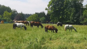 WhatsApp Image 2023-09-04 at 18.06.54 (22)